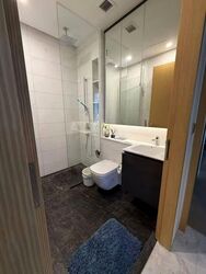 Cairnhill 16 (D9), Apartment #533776741